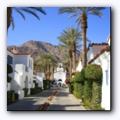 Palm Springs, California (середина ноября - так классно выбраться из дождей в +30)