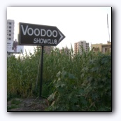Ночной клуб среди лопухов