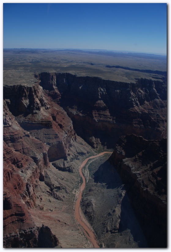 537x801 pixels (139K)