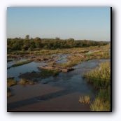 Olifants river - Слоновья Река
